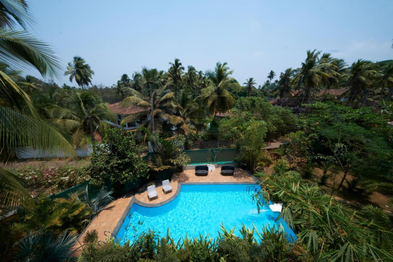 Fig House Anjuna-Chapora Road , Siolim 1Bhk Suite Oxel Екстер'єр фото